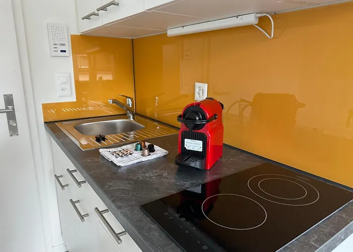 Urban Oasis With Queen Bed And View Be-54 Apartment Zurich