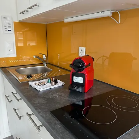 Urban Oasis With Queen Bed And View Be-54 Appartement Zurich